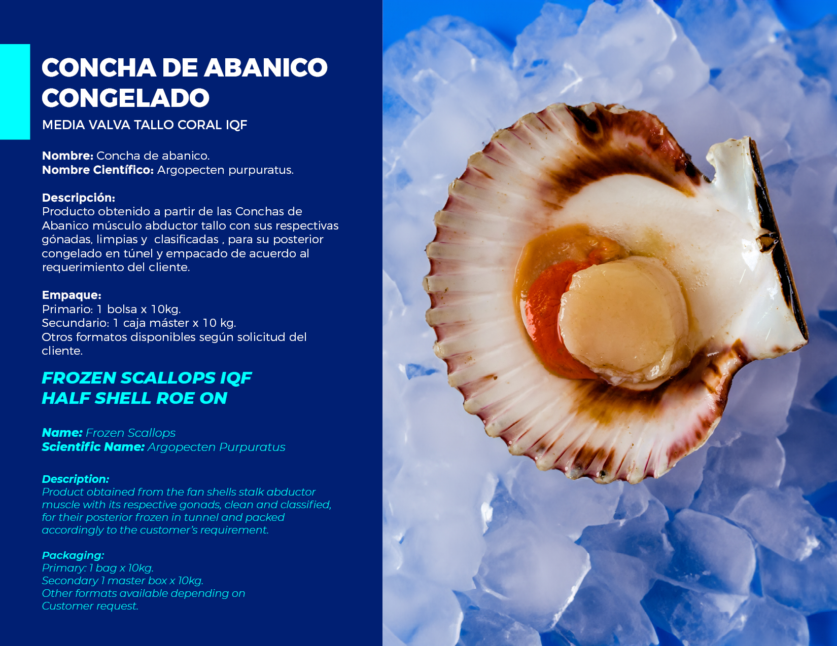 brochure 1